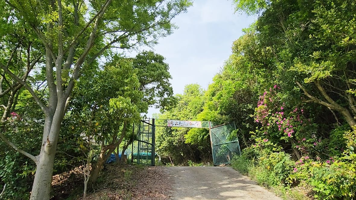 校内に冒険遊び場 大阪千代田短大