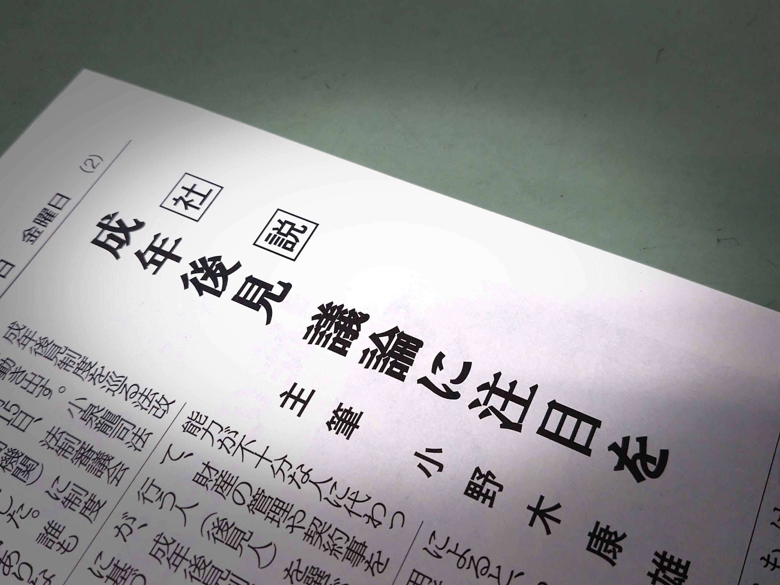 〈文化時報社説〉成年後見 議論に注目を