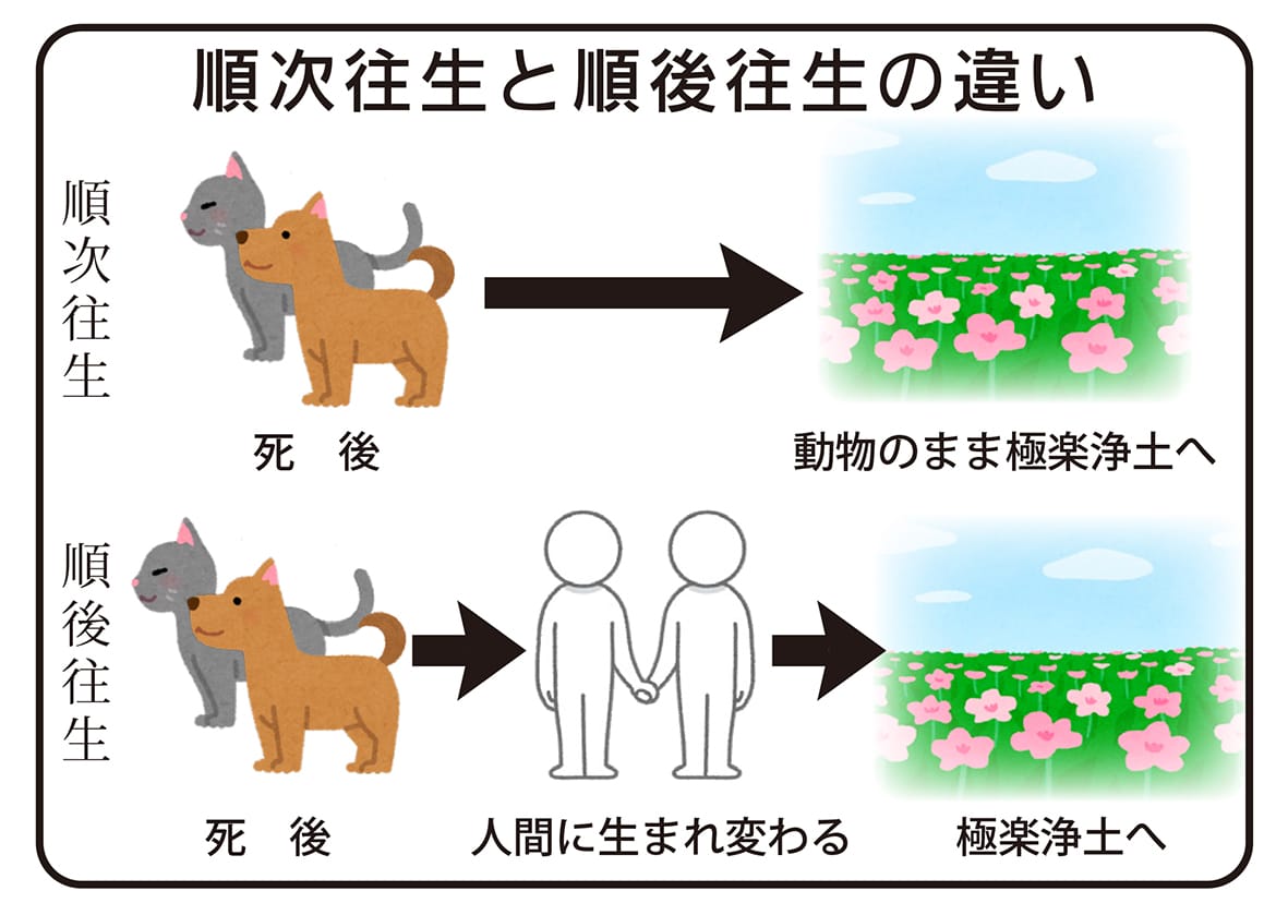ペットは往生するのか 浄土宗で賛否両論